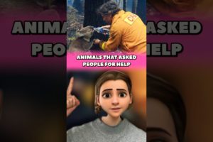 ANIMALS THAT ASKED PEOPLE FOR HELP 🥹 #rescue