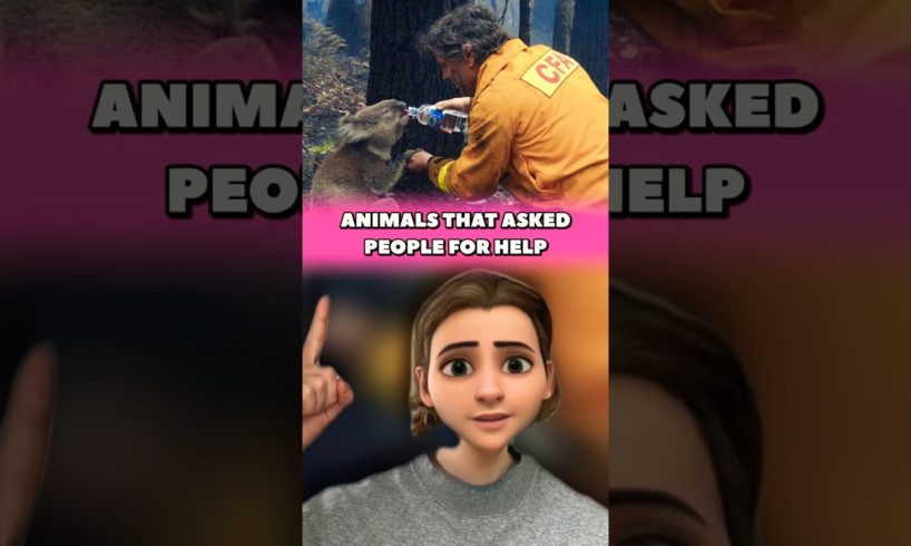 ANIMALS THAT ASKED PEOPLE FOR HELP 🥹 #rescue