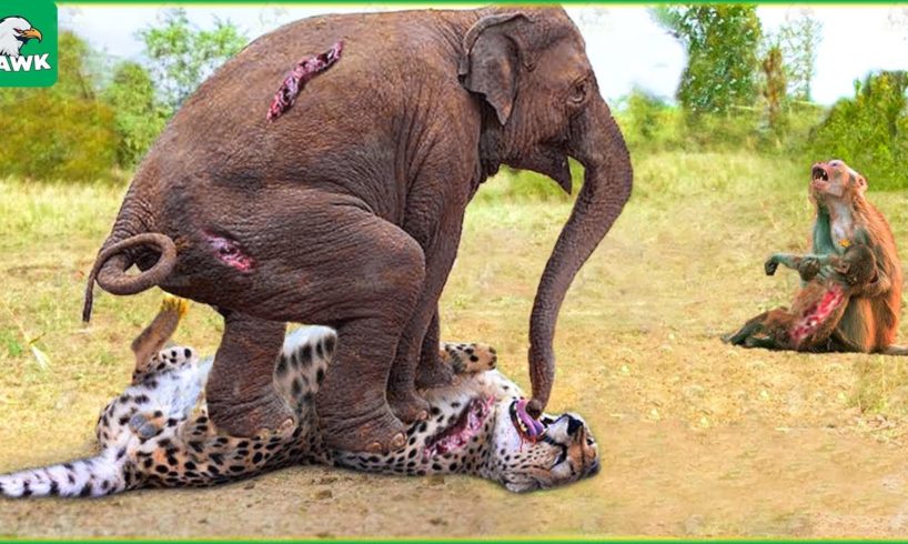 30 Moments When Elephants Rescue Monkeys From Leopards, What Happens Next? | Animal Fights