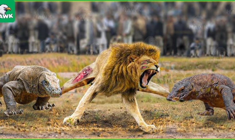 30 Times Stupid Lion Received Bitter End For Daring To Provoke Komodo Dragon | Komodo Dragon vs Lion