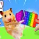 Angela! Hamster and Baby Boss play Best Pop It Challenge | Funny animals | Life Of Pets Hamham