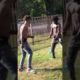 Another funny fight in the hood pt1 #citylife #919 #funnyvideos #fbreels #fighting @macmula2