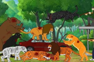 Big Cats vs Tigon vs Liger vs Girzzly Bear vs Hunters - DC2 Animation