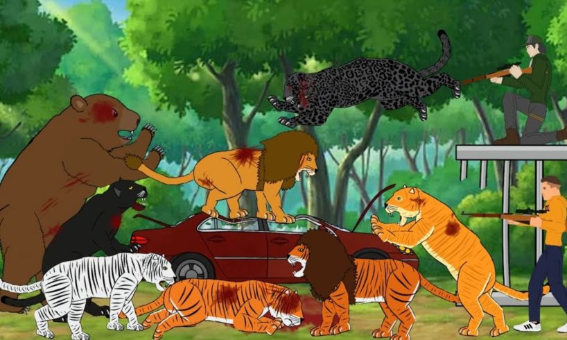 Big Cats vs Tigon vs Liger vs Girzzly Bear vs Hunters - DC2 Animation