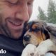 Cachorro sabueso es adoptado y conoce a su nueva manada | El Dodo