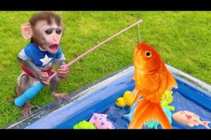 Chu Chu Animal HT Live 24/7 🔴 | Baby Monkey Chu Chu Go Fishing And Play With Puppy And Duckling