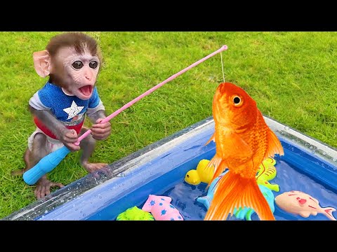 Chu Chu Animal HT Live 24/7 🔴 | Baby Monkey Chu Chu Go Fishing And Play With Puppy And Duckling