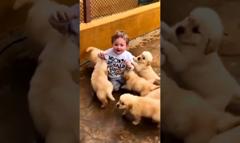Cute Puppies 😘 #shorts #viralshort #cutepuppies #cutebaby