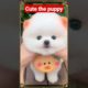 Cute puppy 🐶🐶🐶 🐕 🐕 🐕🐕 🐕