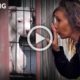 Dog Abuser Neglecting Puppy Confronted By Detroit Pit Crew | Rescuing Rogue