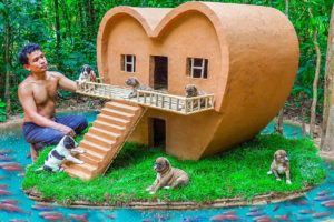 Dog rescue and build Loving Dog House - Build House for Puppies