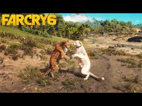 FAR CRY 6 - WHITE PANTHER VS ALL PREDATORS - ANIMAL FIGHTS!!!!