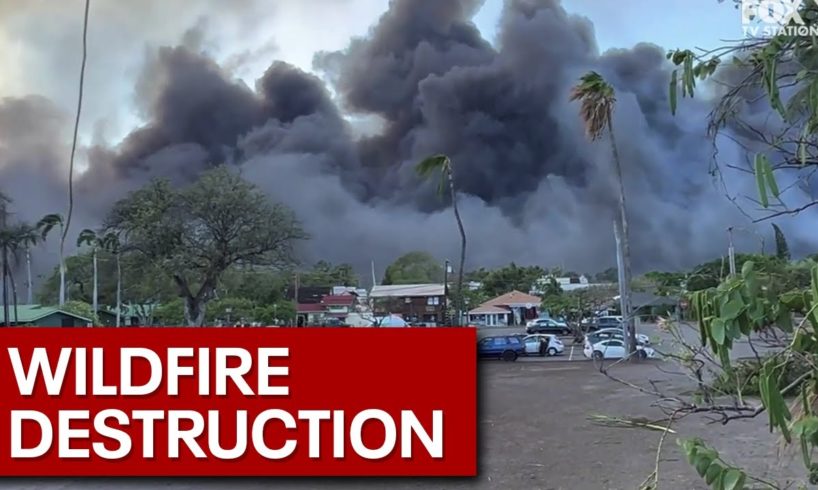 Footage of deadly wildfires burning in Maui, Hawaii