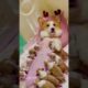 🐶Funny Animals Laugh and Awww!😂 | Animals LOL Moments #funnyanimals #shortsviral #funnydogs