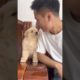 Golden Retriever Puppy Kisses!
