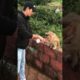 Guy Gives Water to Thirsty Monkey | People Are Awesome