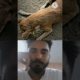 Help people 😎❤️ Sigma rule | 😔 #motivational #viral #shots #dog #ytshorts #ytshorts