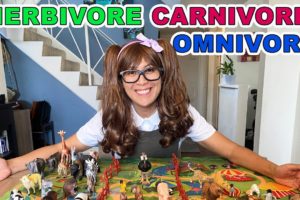 Herbivore, Carnivore and Omnivore Animals for Kids | Educational Videos for Kids