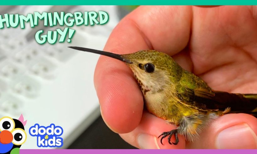 Hummingbirds Love This Guy's Fairytale Costumes! | Dodo Kids