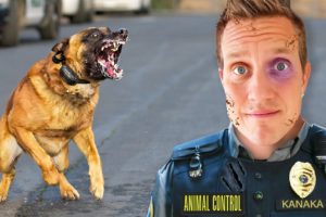I Tried Animal Control | Animal Force Ep 1