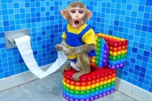 KiKi Monkey experiences and has trouble with Pop It toilet - Funny Animals Video | KUDO ANIMAL KIKI