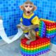 KiKi Monkey experiences and has trouble with Pop It toilet - Funny Animals Video | KUDO ANIMAL KIKI