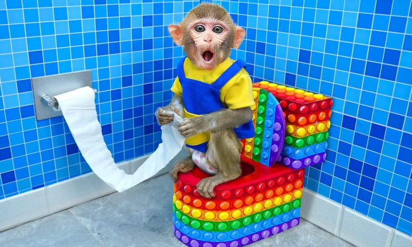 KiKi Monkey experiences and has trouble with Pop It toilet - Funny Animals Video | KUDO ANIMAL KIKI