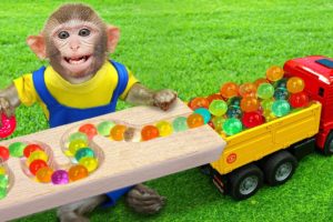 KiKi Monkey plays with Orbeez in Marble Run Race and Wooden Rail Handmade Course | KUDO ANIMAL KIKI