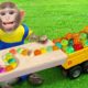 KiKi Monkey plays with Orbeez in Marble Run Race and Wooden Rail Handmade Course | KUDO ANIMAL KIKI