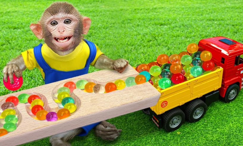KiKi Monkey plays with Orbeez in Marble Run Race and Wooden Rail Handmade Course | KUDO ANIMAL KIKI