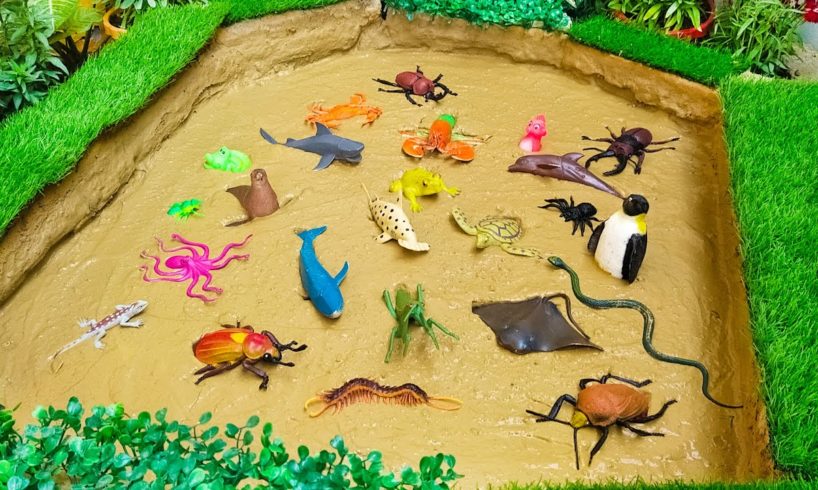 Learn Sea Animals Wild Animals Safari Animals Insects Names & Sounds in English For Toddlers