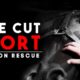 Life Cut Short - Auction Rescue | Horse Shelter Heroes S4E25