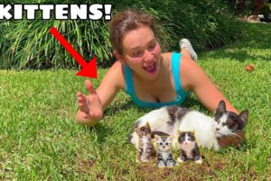 MY PREGNANT CAT GAVE BIRTH! WHAT NOW?!