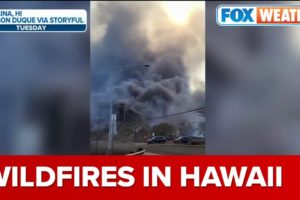 Maui Residents Jump Into Ocean To Escape Raging Hawaiian Wildfire