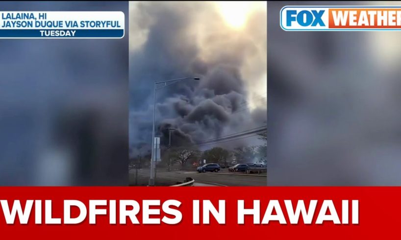 Maui Residents Jump Into Ocean To Escape Raging Hawaiian Wildfire