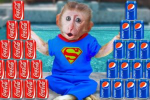 Monkey CaCa challenge with Coke vs Pepsi Pretend Play - Trending Funny Animals | Smart monkey CaCa