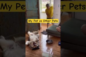 My Pet vs Other Pets || Cute Pets || Funny Dogs || golden Retrievers || #pets #dog