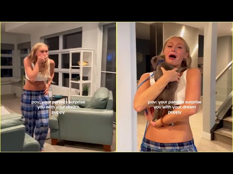 New Puppy Surprise Compilation 2023 | A Surprise Puppy on a friday!