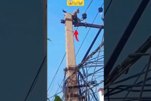 OMG! My breath stopped for a moment😱 -- The poor cat was electrocuted#shorts #catshorts #cat #viral
