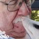 Opossum Can't Stop Slubbing His Mom | The Dodo