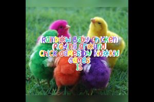 Rainbow Baby Chicken | Love animal | Colours chick | Playing game with animals | color chick video