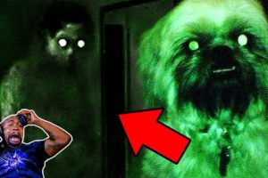 SCARY Ghost Videos Compilation #5