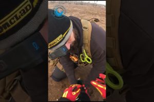 Seal Rescued From Orange Rope #shorts