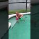Swim Cap Toss In Pool | People Are Awesome