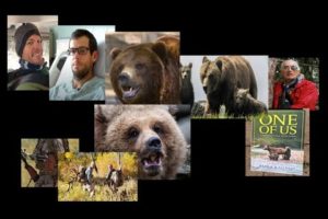 Three Terrifying Montana Grizzly Bear Attacks