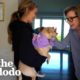 Tiny Dogs Who Were Chained Up Insist On Getting Adopted Together | The Dodo
