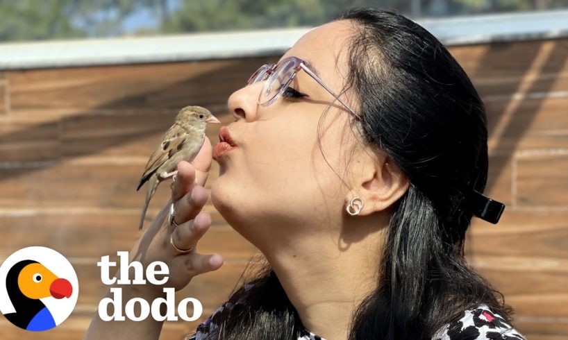 Tiny Rescue Bird Follows Her Mom Around Like A Dog | The Dodo
