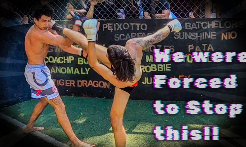 We had to stop this Crazy backyard MMA fight
