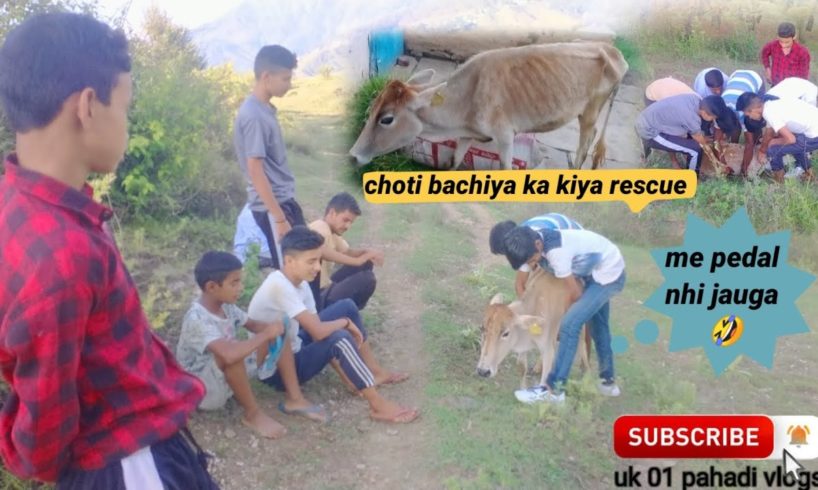 gay ke choti bachiya ka kiya rescue || ( animal rescue ) | @pahadivlogs01 #masti #dailyvlog