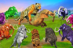 10 Zombie Tiger vs 10 Zombie Mammoth Fight Cow Cartoon Elephant Saved By Woolly Mammoth Wild Animals